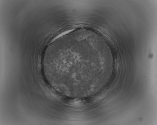 X0000090910267200708201749