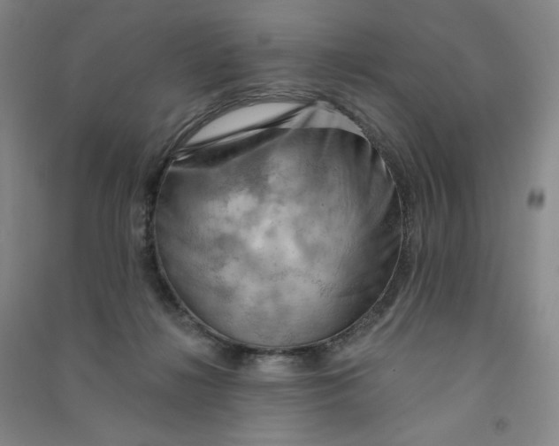 X0000090910268200708201749