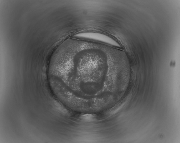 X0000090910269200708201749