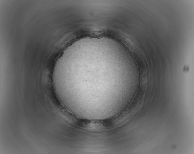 X0000090910270200708201749