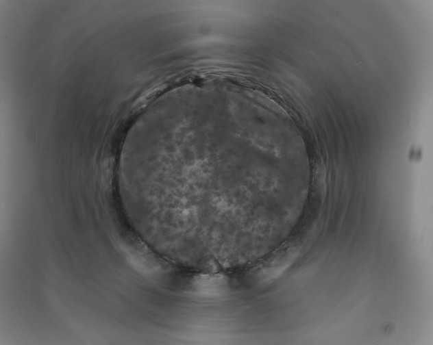 X0000090910271200708201749