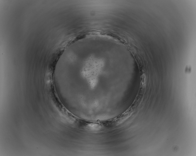 X0000090910272200708201749