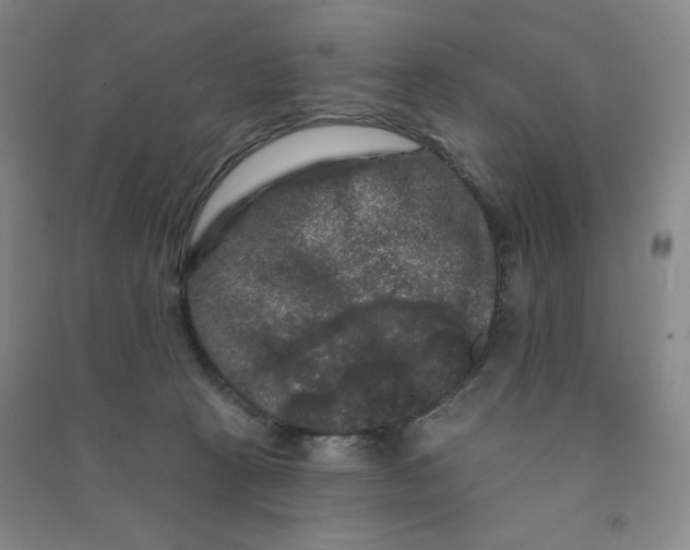 X0000090910273200708201749