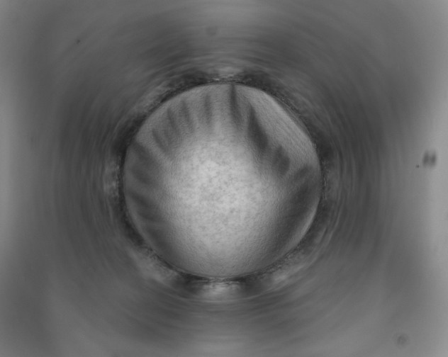 X0000090910274200708201749