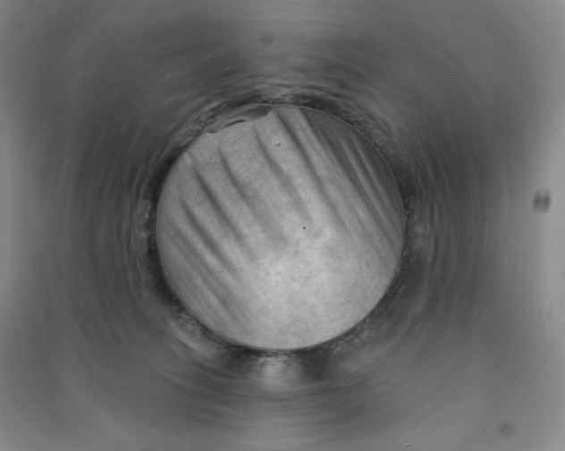 X0000090910275200708201749