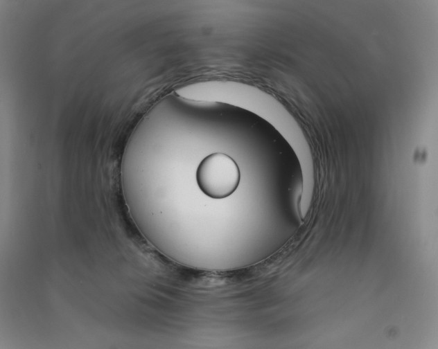 X0000090910276200708201749