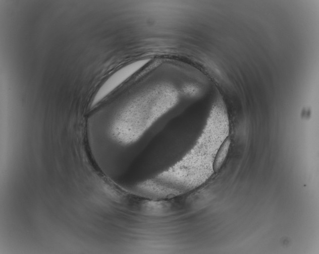 X0000090910277200708201749