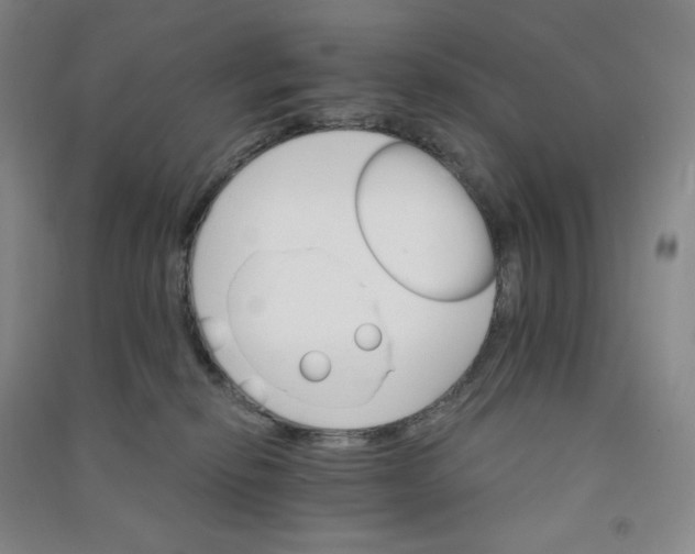 X0000090910278200708201749