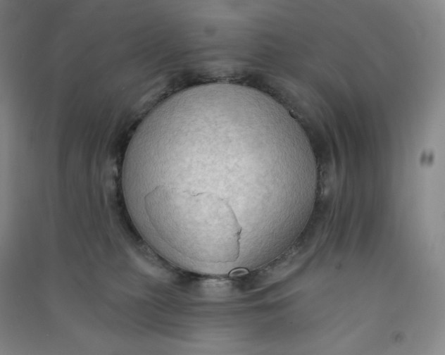 X0000090910279200708201749