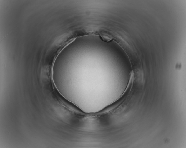 X0000090910280200708201749