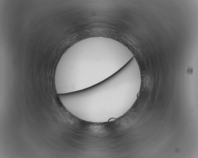 X0000090910283200708201749