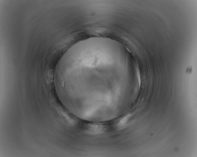 X0000090910284200708201749