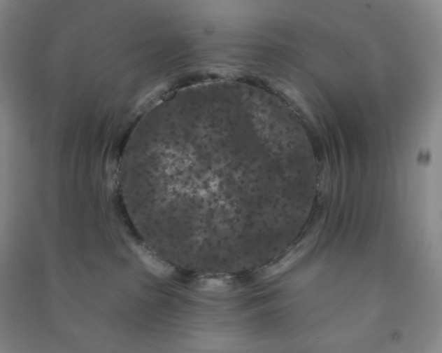 X0000090910285200708201749