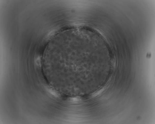 X0000090910286200708201749