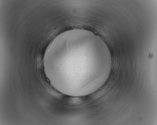 X0000090910287200708201749