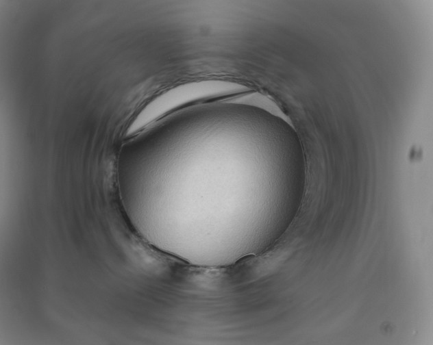 X0000090910288200708201749