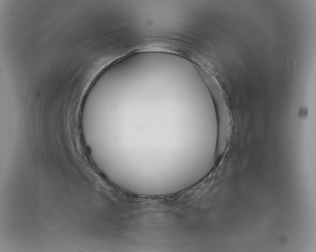 X0000090910289200708201748