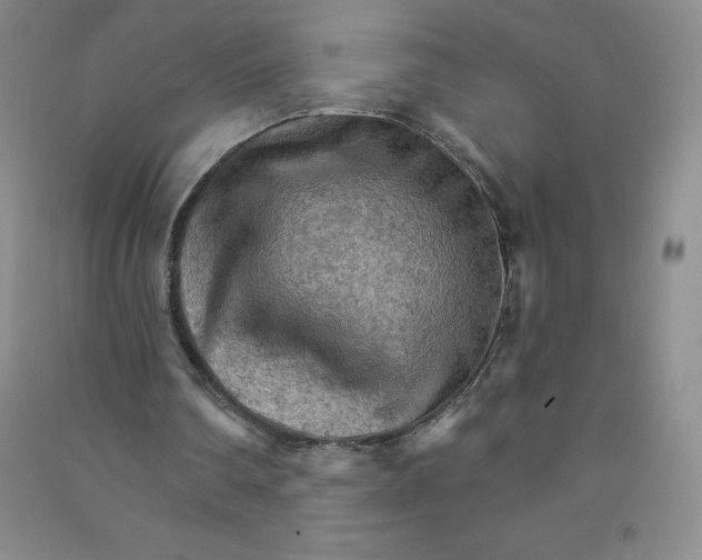 X0000090910290200708201748