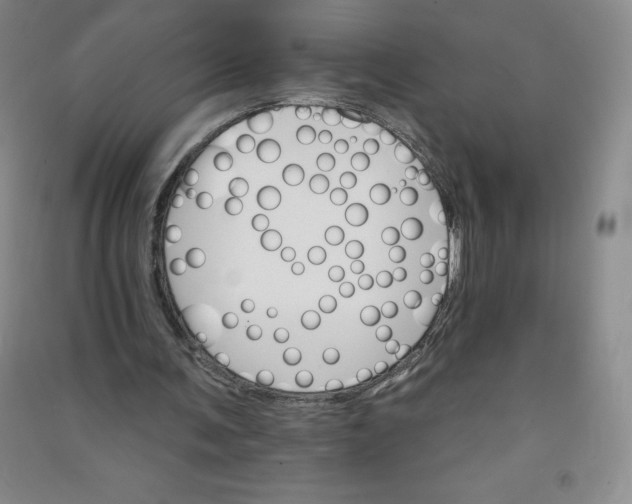 X0000090910291200708201748