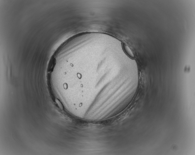 X0000090910292200708201748