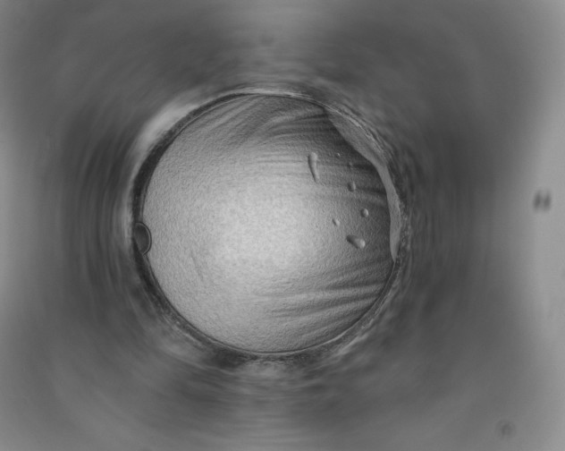 X0000090910294200708201748