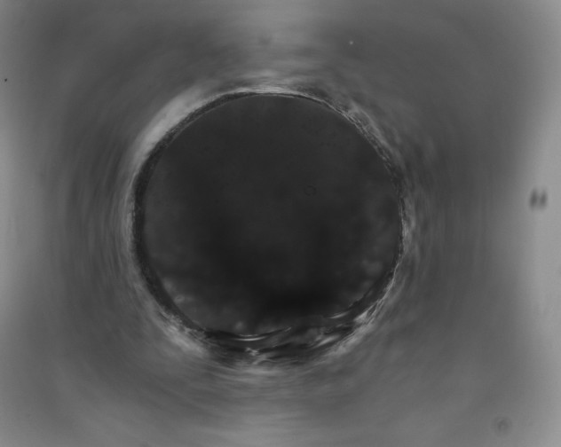 X0000090910295200708201748