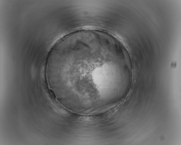 X0000090910297200708201748