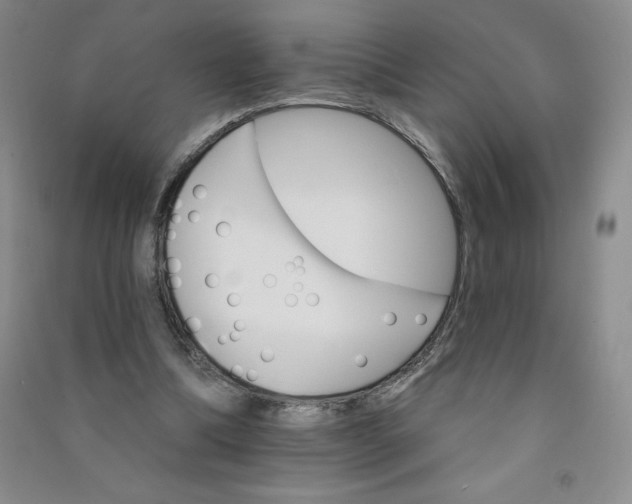 X0000090910298200708201748