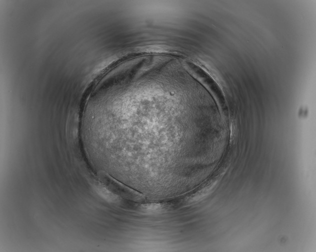 X0000090910301200708201748