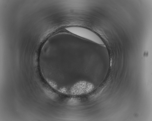 X0000090910303200708201748