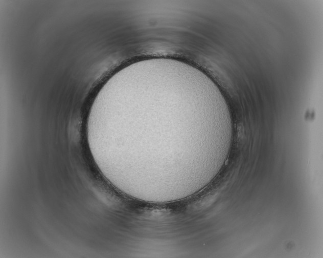 X0000090910304200708201748