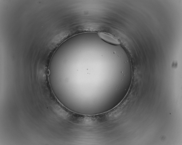 X0000090910305200708201748