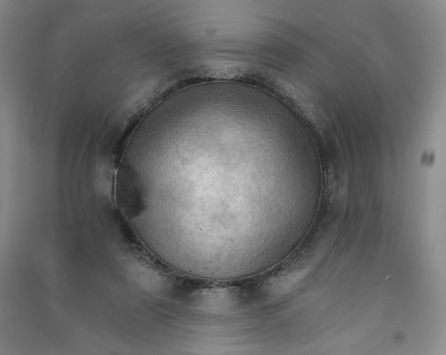 X0000090910307200708201748