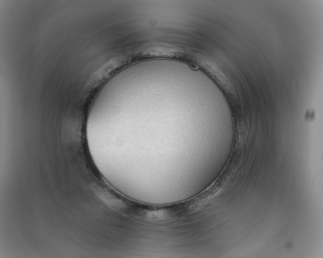 X0000090910309200708201748