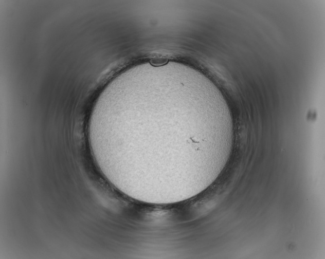 X0000090910312200708201748