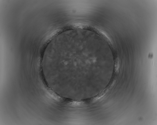 X0000090910314200708201748