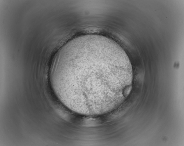 X0000090910315200708201748