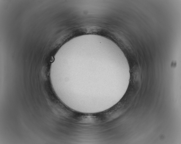 X0000090910316200708201748