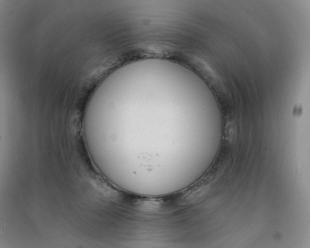 X0000090910318200708201748