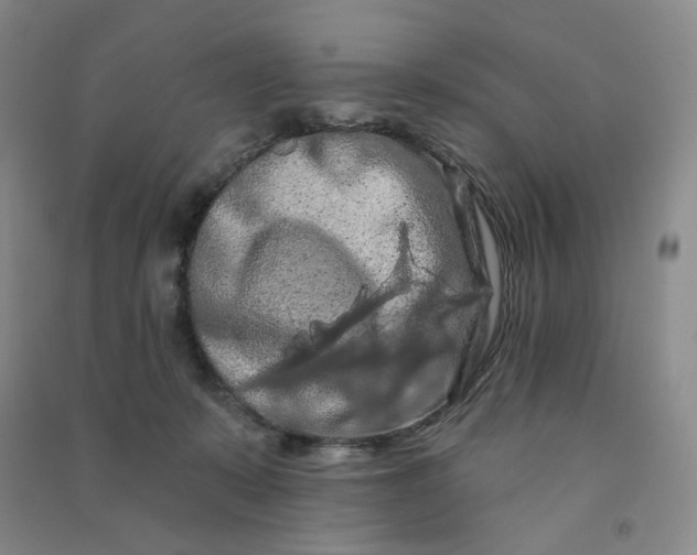 X0000090910319200708201748