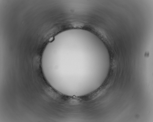 X0000090910321200708201748