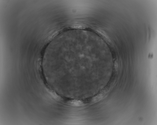 X0000090910322200708201748