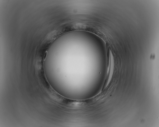 X0000090910323200708201748