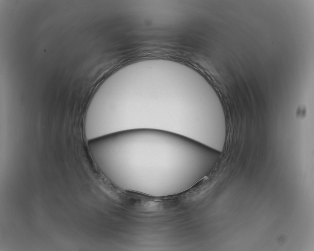 X0000090910325200708201748