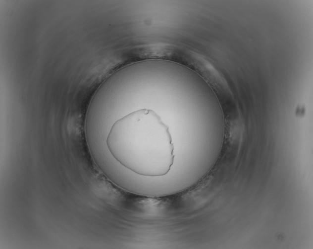 X0000090910326200708201748