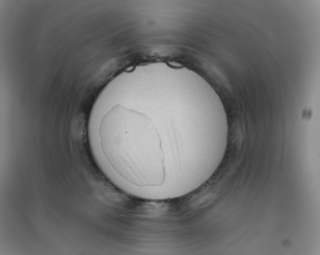 X0000090910328200708201748