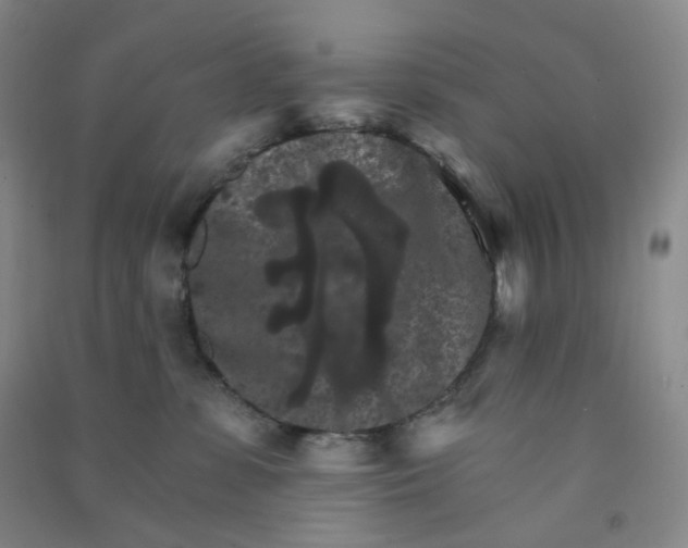 X0000090910331200708201748