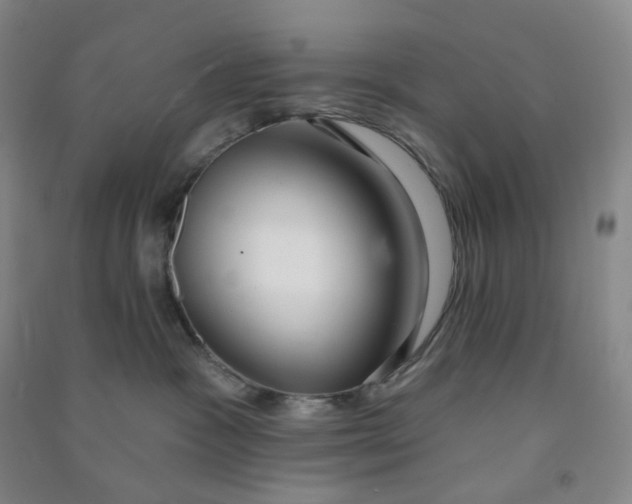 X0000090910333200708201748