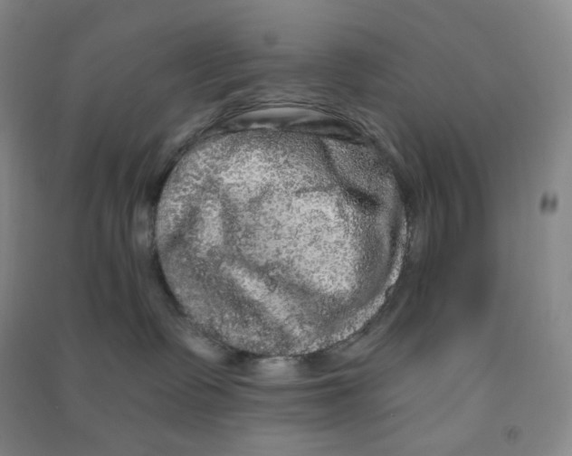 X0000090910335200708201748