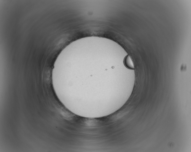 X0000090910336200708201747